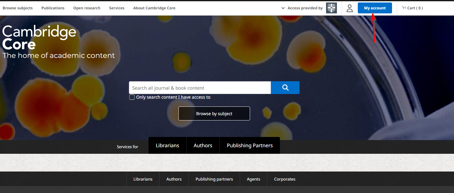 Screenshot showing My Account button